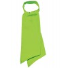 foulard femme vert pomme pas cher