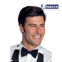 NOEUD PAPILLON EN COULEUR